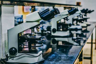 Science Skills: Photo by Ousa Chea on Unsplash